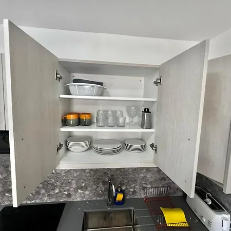 With Oleg C111 * פאראלימני